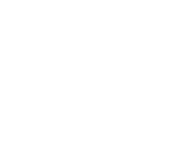 teeth