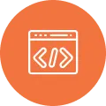 custom web application development