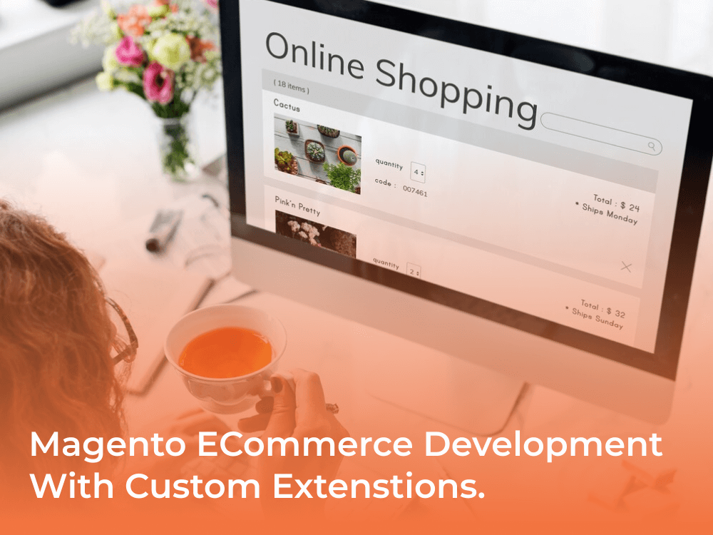 Magento ECommerce Development With Custom Extenstions