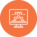cms development