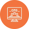 cms development