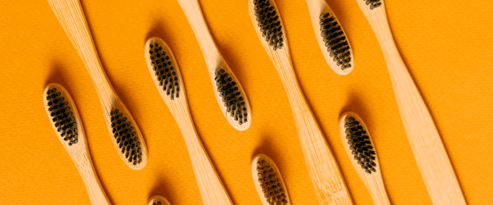 Brush banner
