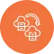 Craft CMS