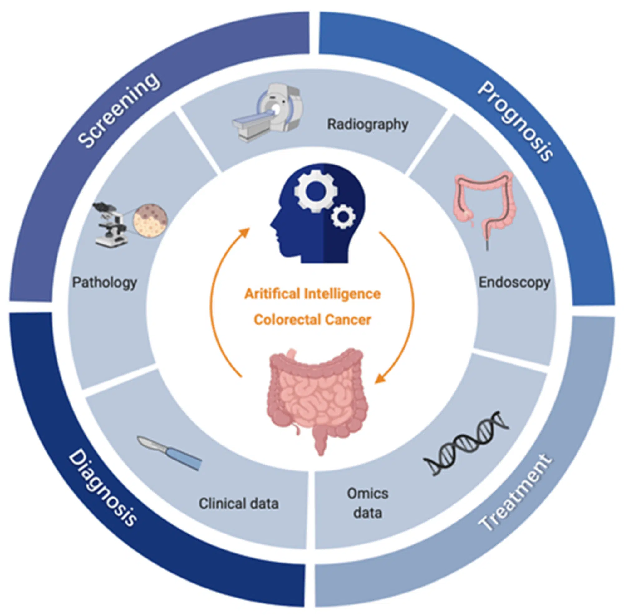 AI in Colorectal Cancer Detection